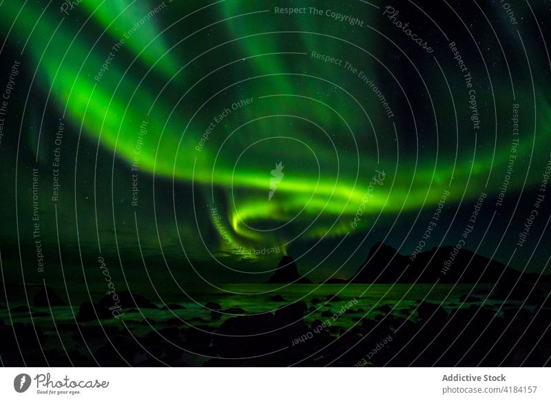 Northern lake at nightView to northern leafless forest in winter under starry cloudless sky with Polar light. nature cold polar light stars dusk covered season