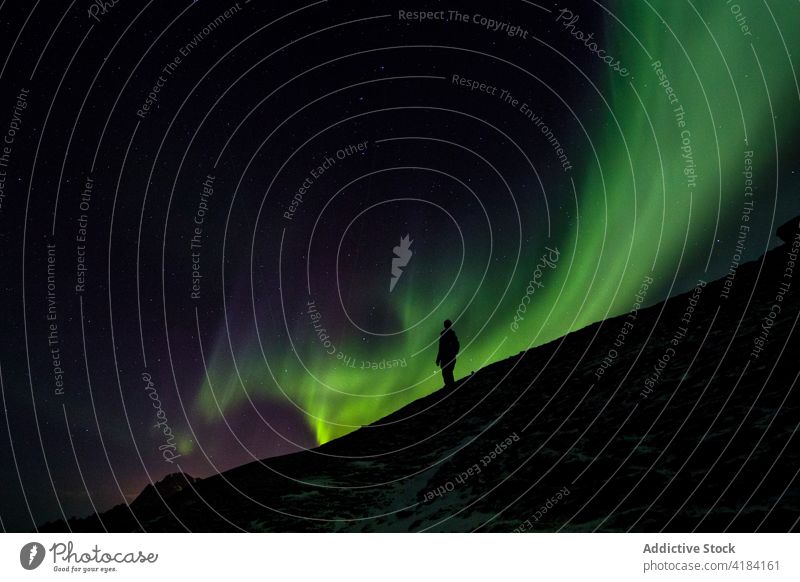 anonymous person at nightView to northern leafless forest in winter under starry cloudless sky with Polar light. nature cold polar light stars dusk covered