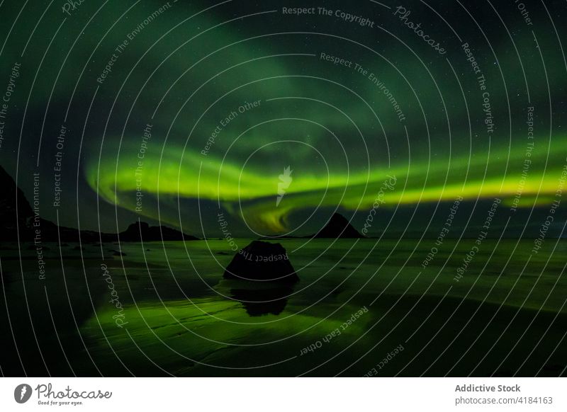 Northern lake at nightView to northern leafless forest in winter under starry cloudless sky with Polar light. nature cold polar light stars dusk covered season