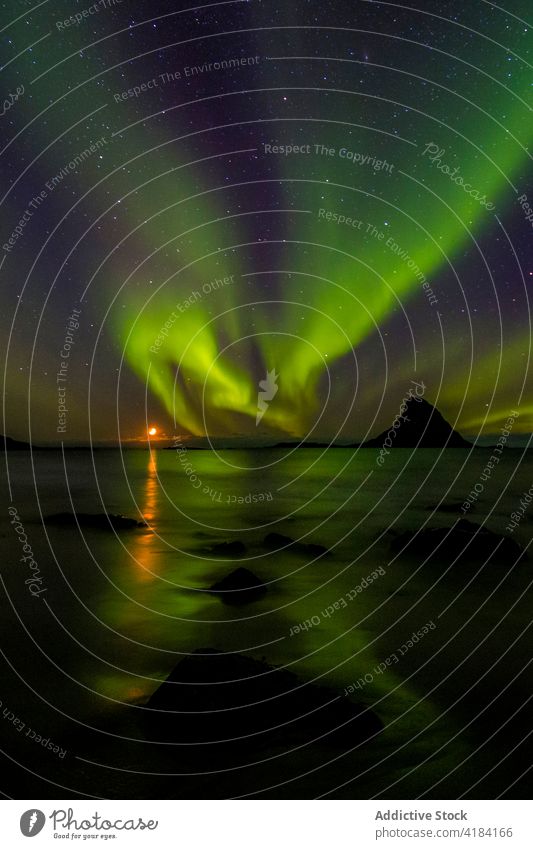 Northern lake at nightView to northern leafless forest in winter under starry cloudless sky with Polar light. nature cold polar light stars dusk covered season