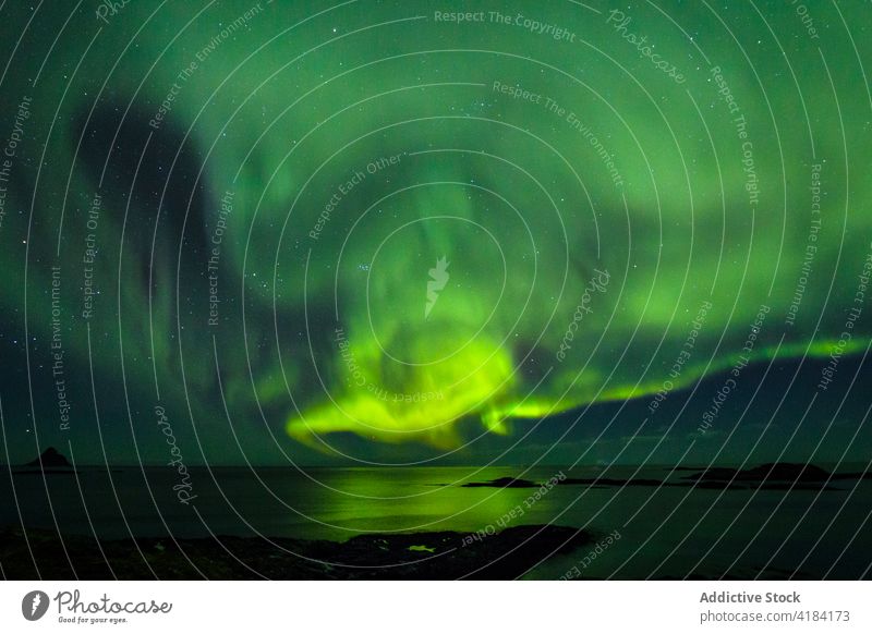 Northern lake at nightView to northern leafless forest in winter under starry cloudless sky with Polar light. nature cold polar light stars dusk covered season