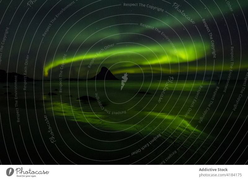 Northern lake at nightView to northern leafless forest in winter under starry cloudless sky with Polar light. nature cold polar light stars dusk covered season