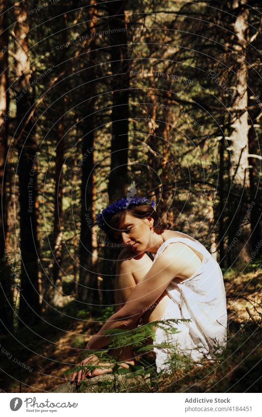 Dreamy barefooted woman resting in forest on sunny day embracing knee romantic dreamy eyes closed nature harmony relax feminine tree sunlight alone pensive