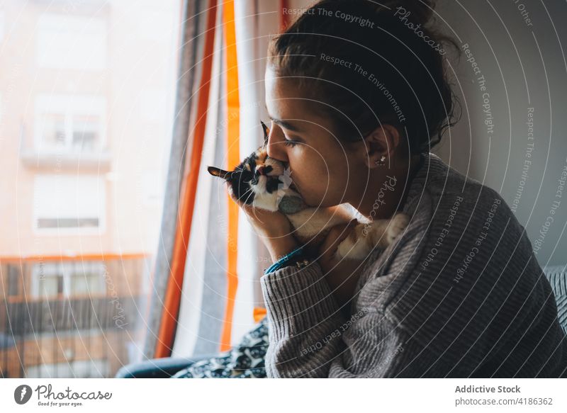 Young lady kissing adorable cat while resting on couch at home woman sofa eyes closed owner love pet calico cute cozy female young casual animal kitty feline