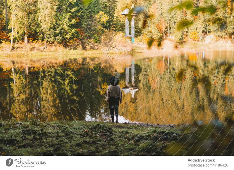 Unrecognizable traveler enjoying lake reflecting trees during vacation tourist admire freedom nature mount reflection trip woman highland shore spare time style