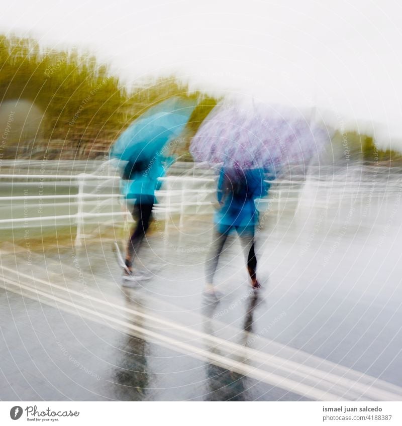 people with an umbrella in rainy days in autumn season person raining water human pedestrian street city urban bilbao spain walking lifestyle weather winter