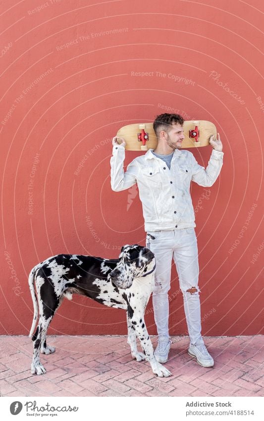 Young stylish guy carrying skateboard while spending time on street with cute dog man great dane together sporty activity skater owner animal harlequin male