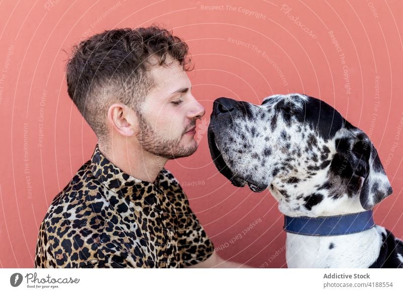 Young guy and purebred dog embracing each other on street man great dane hug best friend love trust owner animal pet obedient companion male young unshaven