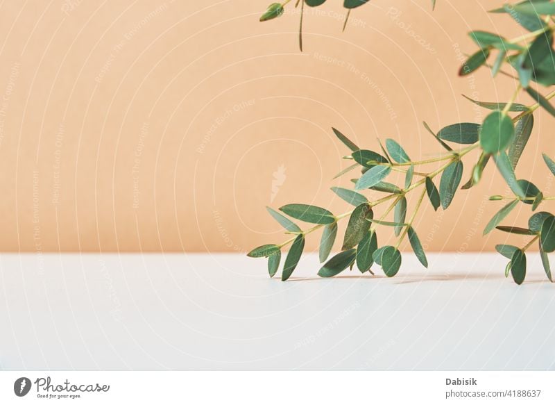 Empty platform with plant leaves on beige background minimal mock up presentation scene product show display shadow beauty leaf tree design magazine marketing