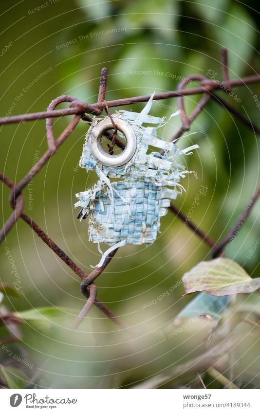 Slowly I run out of pictures... Remnants on the garden fence | 4 years later Garden fence Wire netting fence Eyelet plastic tarpaulin Remains Years later Detail