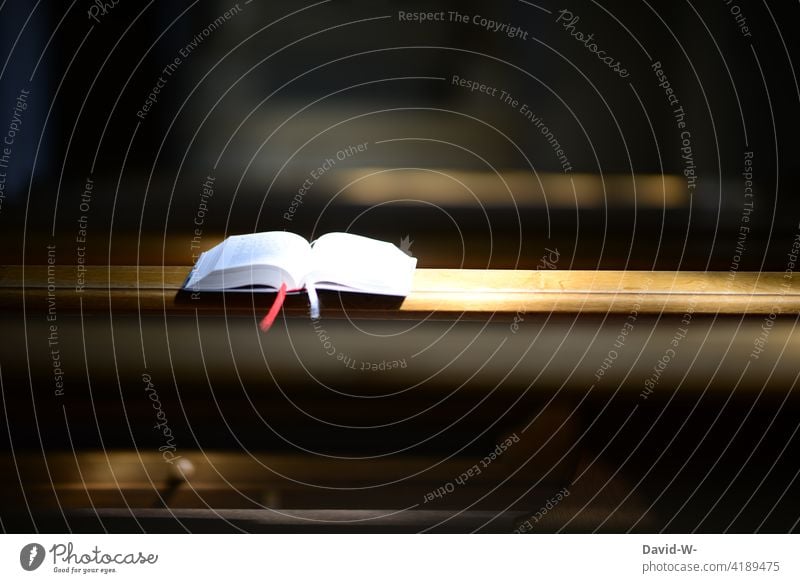 Sunlight falls on a praise of God on a pew Church Church pew Faith & Religion Light (Natural Phenomenon) Christianity forsake sb./sth. Spirituality