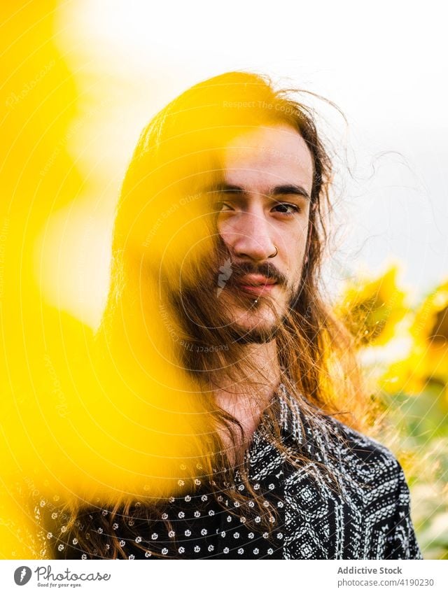 Man in sunflower field in summer man serene carefree yellow bloom meadow male stand harmony countryside tranquil peaceful nature idyllic freedom blossom enjoy