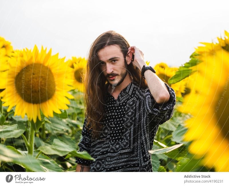 Man in sunflower field in summer man serene carefree yellow bloom meadow male stand harmony countryside tranquil peaceful nature idyllic freedom blossom enjoy