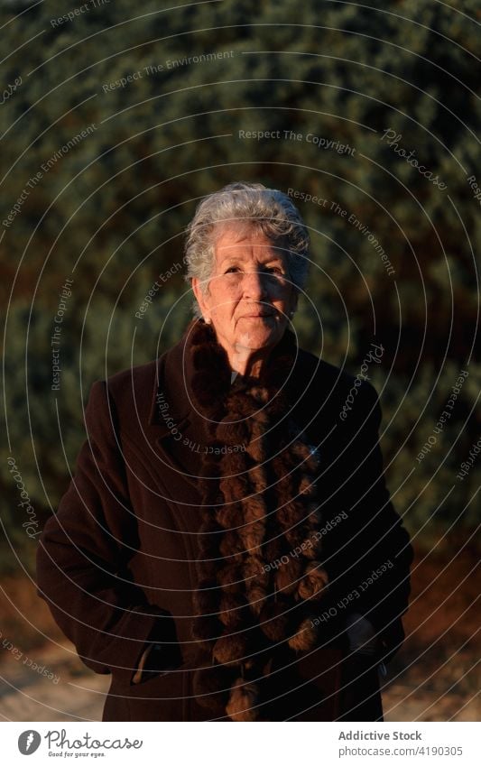 Senior lady looking at camera from boardwalk woman admire seascape beach traveler enjoy nature vacation relax ocean female elderly casual wooden pier viewpoint