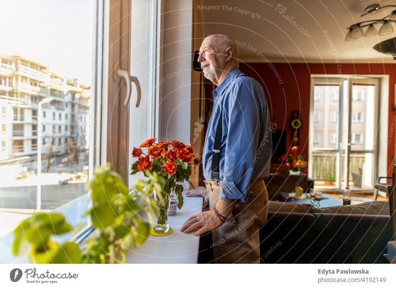 Senior Man Looking Through Window at Home real people candid genuine senior mature male man Caucasian elderly home house old aging domestic life grandfather