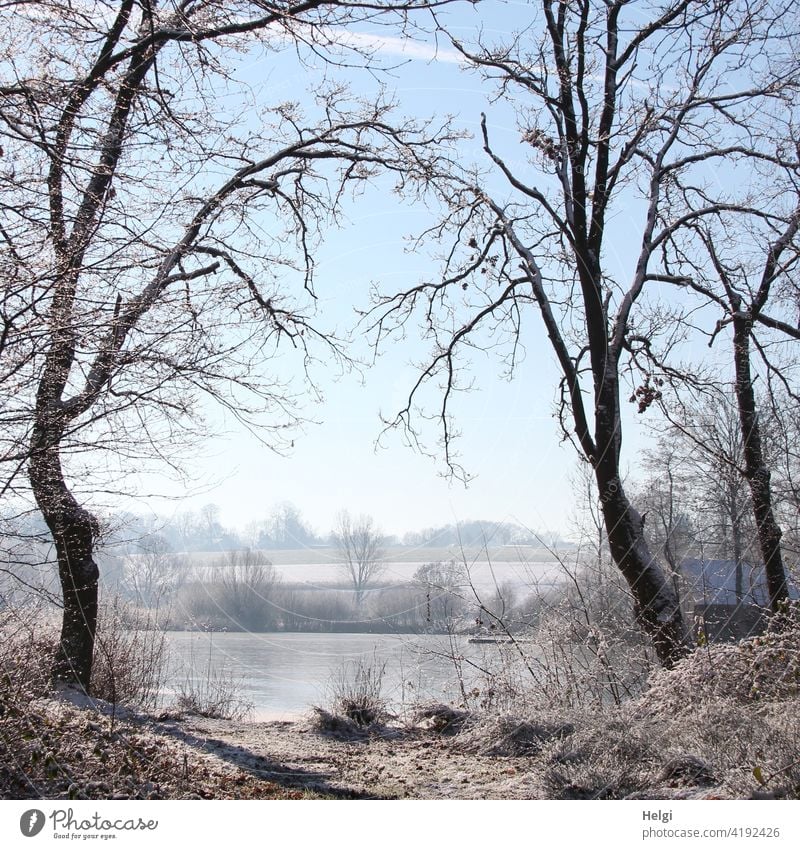 Winter atmosphere - two trees form a gate to the frozen lake through their branches Tree Lake Moor lake Hücker Moor Winter mood Winter morning Frost chill