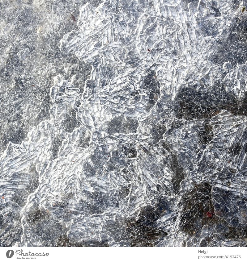 Order in chaos - patterns and structures in an ice surface Ice Frozen surface Winter chill Pattern Ice structure Exceptional Cold Structures and shapes Frost