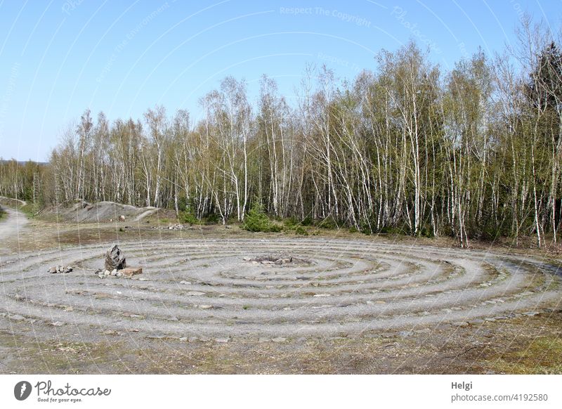 Stone labyrinth at the edge of the Piesberg hiking trail near Osnabrück Labyrinth Stone Labyrinth Landscape Nature Environment Tree Birch tree Exterior shot