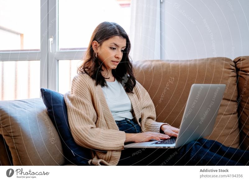 Woman sitting on sofa and working on laptop freelance woman typing home remote project distance couch female internet online surfing busy focus computer netbook