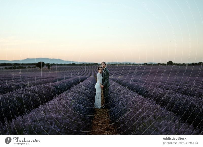 Newlyweds standing close on field at dusk couple newlywed sunset romantic nature valentine face to face occasion affection relationship love peaceful