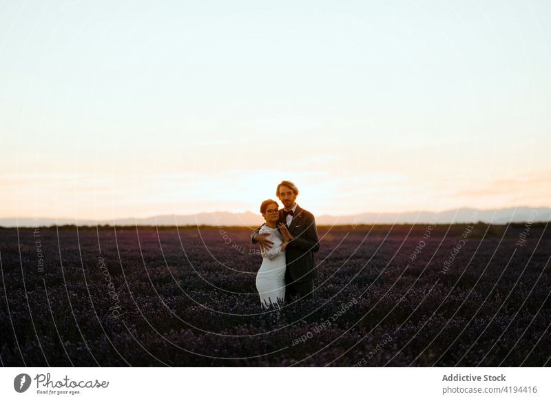 Newlyweds standing close on field at dusk couple newlywed sunset romantic nature valentine face to face occasion affection relationship love peaceful