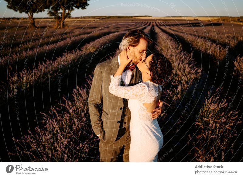 Newlyweds standing close on field at dusk couple newlywed sunset romantic nature valentine face to face occasion affection relationship love peaceful