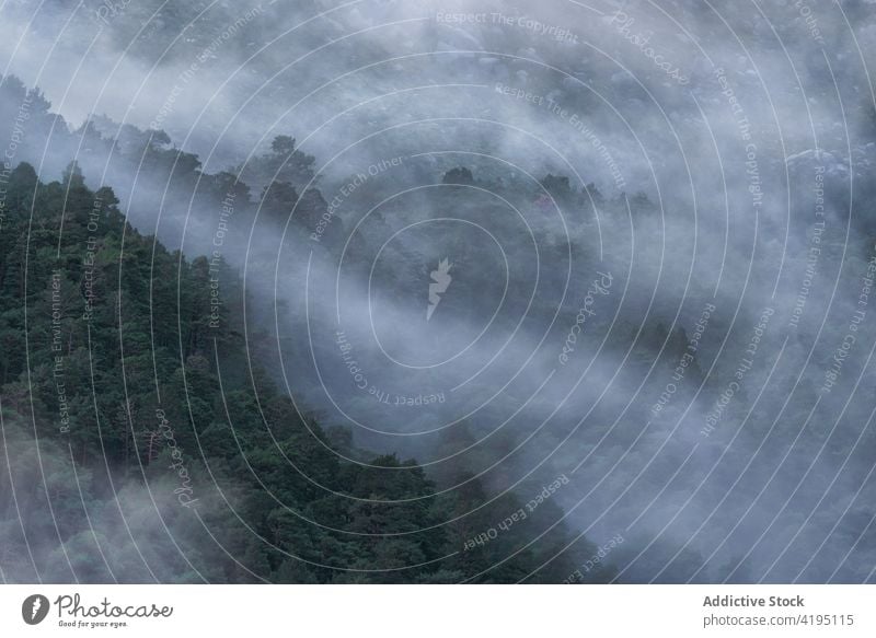 Thick fog over green forest landscape woods scenery mood mist mountain highland thick sierra de guadarrama spain haze national park dense terrain scenic