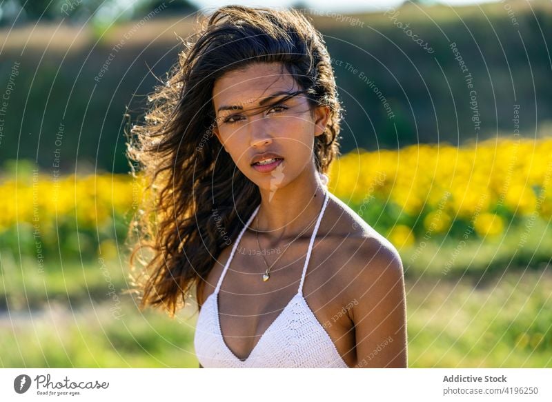 Carefree woman in field in summer dry countryside carefree serene slim grace sunny female enjoy harmony peaceful tassel meadow nature idyllic freedom style