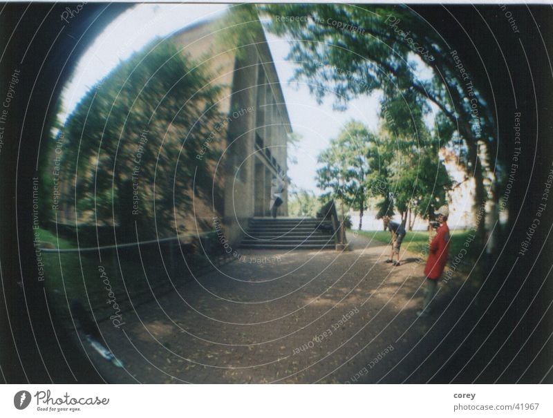 fisheye Human being Tree Nature Stairs Distorted Fisheye