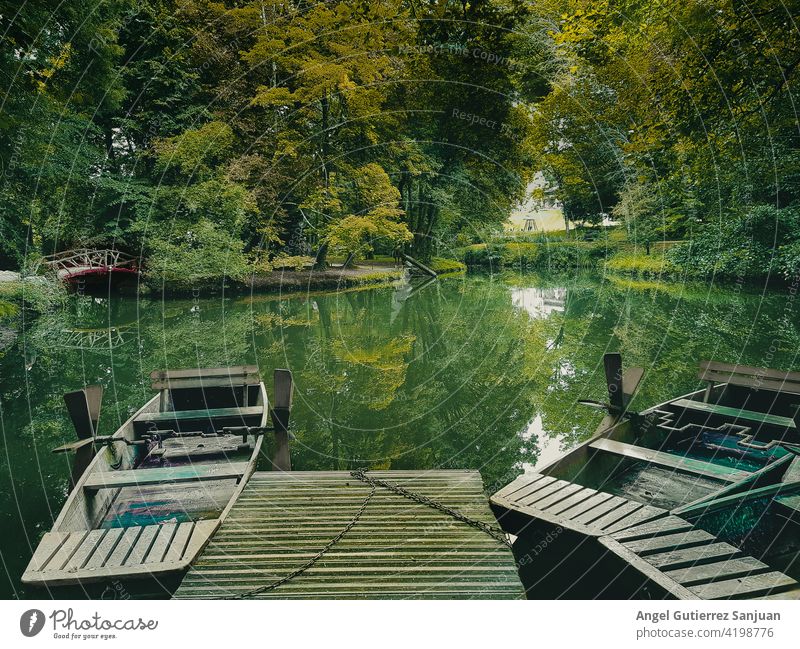 canoes in the river with green background water sport nature vacation forest summer travel aerial view horizontal recreation reflection scenery man paddling