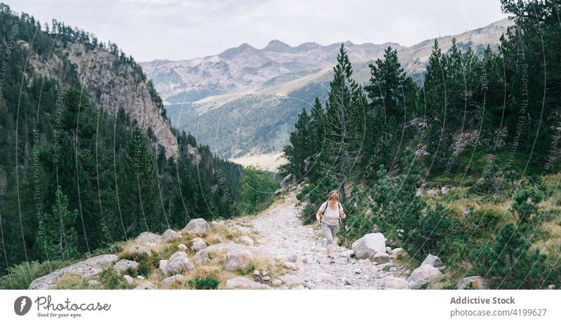 Active woman walking with poles on stony hill slope pole walking active path energy trekking nordic walking physical concentrate tourism focus ruda valley adult