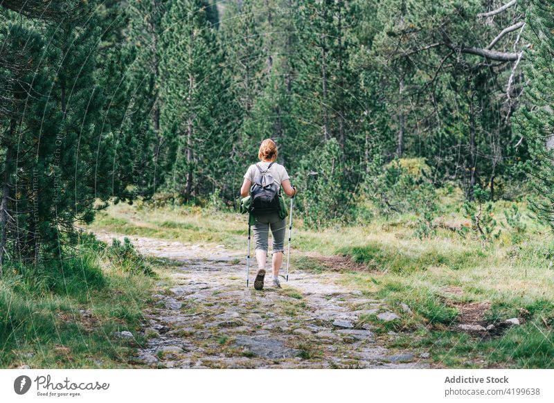 Anonymous active woman walking with poles on stony hill slope pole walking path energy trekking nordic walking physical tourism focus ruda valley adult lleida