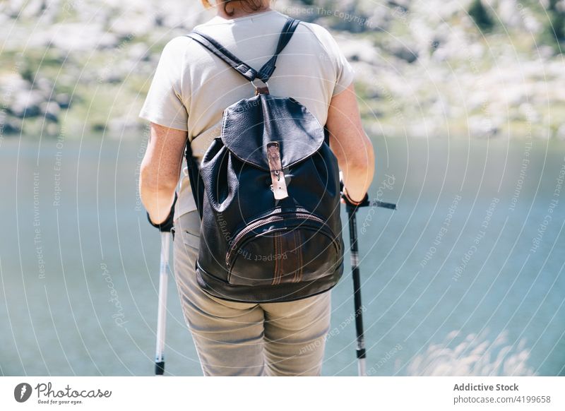 Crop unrecognizable woman with walking poles standing on stony riverside pole walking energy trekking picturesque ruda valley sunny concentrate river bank