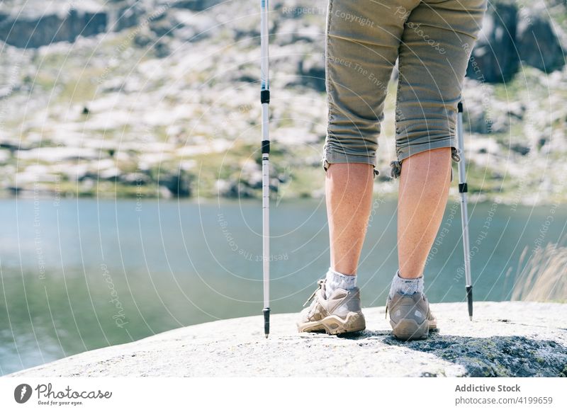 Crop unrecognizable woman with walking poles standing on stony riverside pole walking energy trekking picturesque ruda valley sunny concentrate river bank