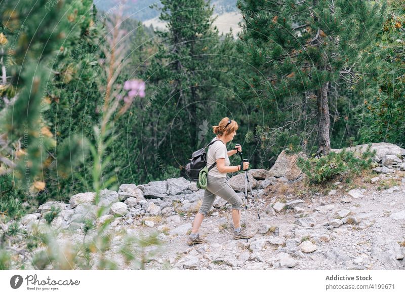 Active woman walking with poles on stony hill slope pole walking active path energy trekking nordic walking physical concentrate tourism focus ruda valley adult