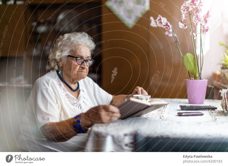 Portrait of an elderly woman at her home eople senior mature casual female Caucasian house old aging domestic life grandmother pensioner grandparent retired