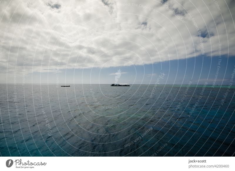 endless freedom on the open sea Far-off places Sky Clouds Great Barrier Reef Pacific Ocean Freedom Calm Climate Horizon Sunlight Panorama (View) Nature