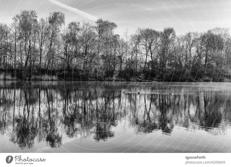 On the Ems in the morning Water Morning morning mood Dawn Morning fog Landscape Deserted Calm Exterior shot Romance Nature Emsland Sadness Idyll Moody River