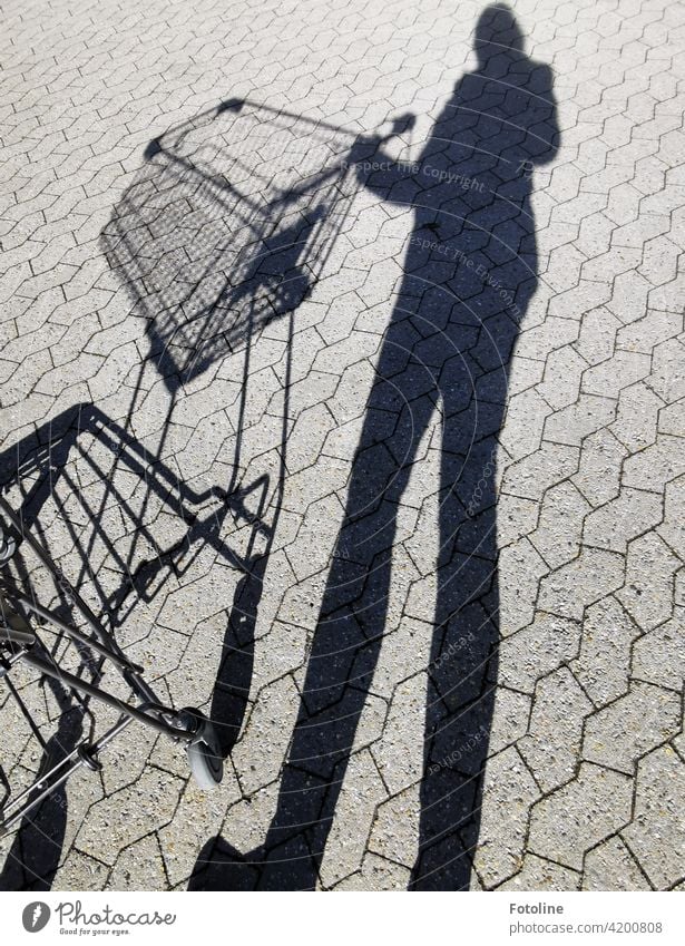 Shady sides - the shopping cart is still empty, but it's about to get expensive again. Shadow Light Light and shadow Contrast Sunlight Exterior shot Day