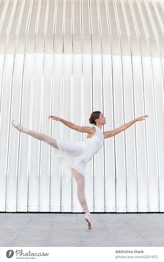 Professional ballerina dancing on the street dance classic art choreography leg raised grace exercise woman arm raised dancer ballet feminine copy space