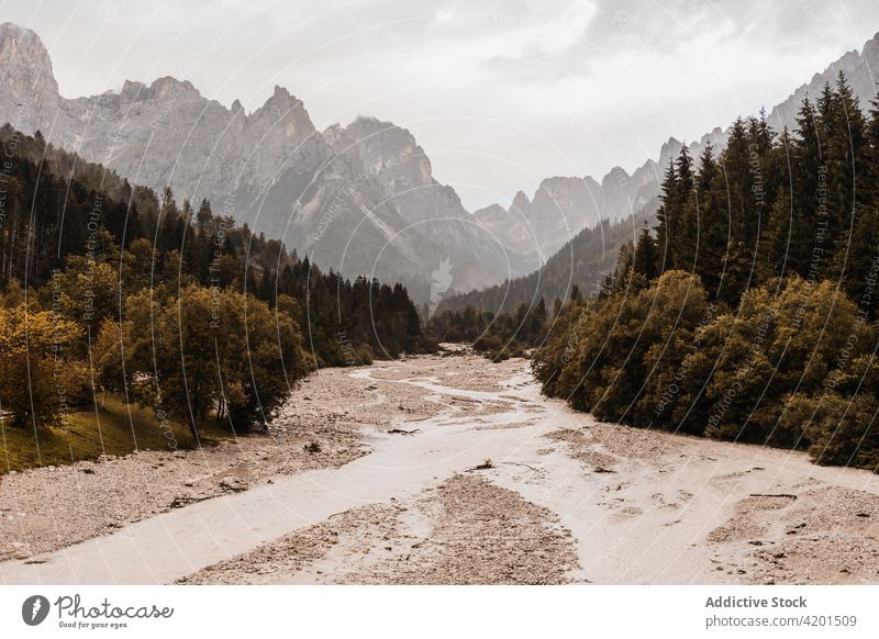 Empty road between lush trees and mountains nature route direction highland landscape environment sky cloudy sandy roadway dry vegetate ecology ridge majestic