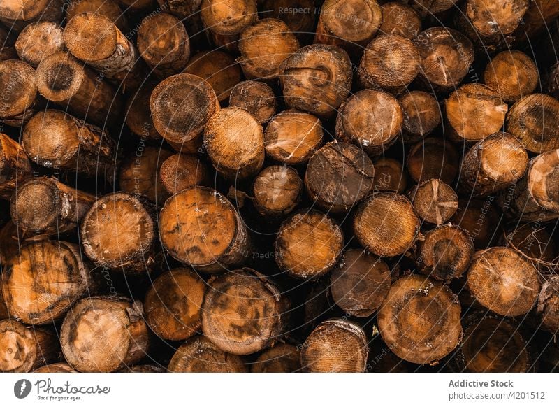 Stack of weathered wooden logs stack firewood heap woodpile trunk tree timber lumber rustic resource background countryside rural nature hardwood storage