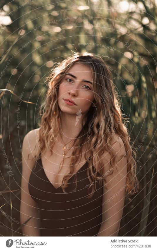 Long haired woman in swimsuit standing in green garden long hair sunlight portrait beauty feminine nature summer young charming female brunette wavy hair calm