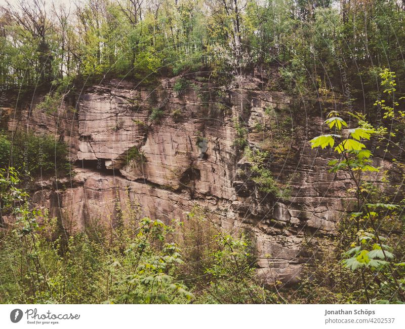 Findewirth quarry rock face with trees in Zeisigwald Chemnitz Stone wall Stone block curt Steep face Elements Hard Firm Exterior shot Saxony Eastern Germany