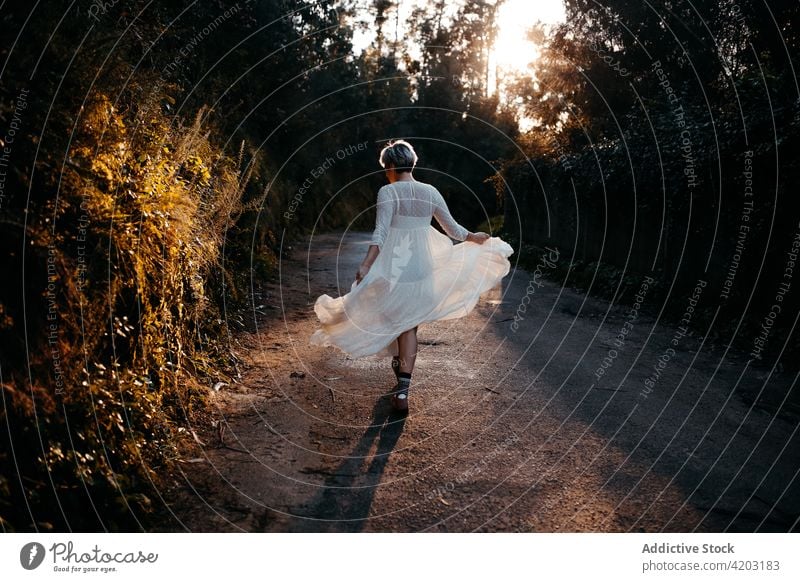 Unrecognizable woman in dress walking in park white dress road rural tree nature countryside path stroll female evening environment forest sunset lady serene