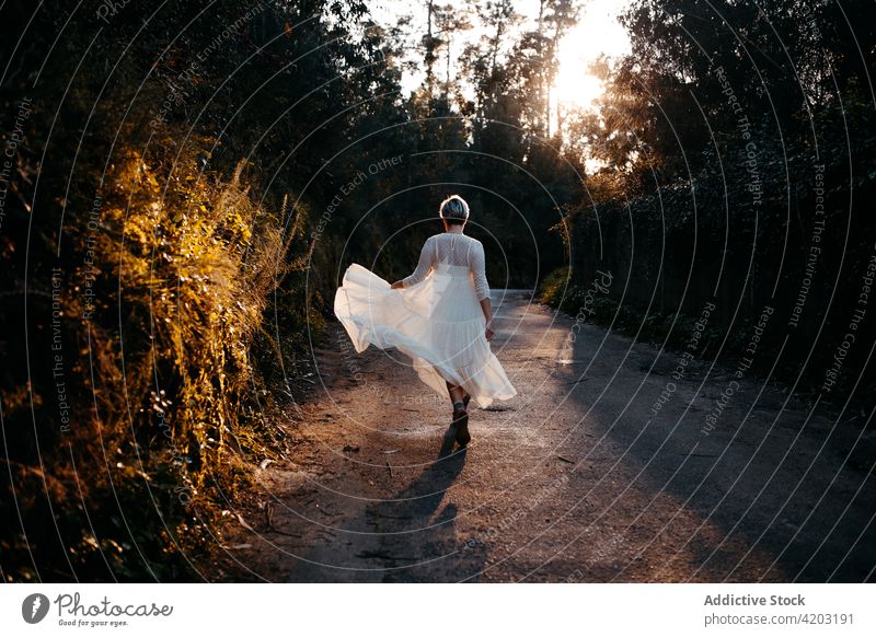 Unrecognizable woman in dress walking in park white dress road rural tree nature countryside path stroll female evening environment forest sunset lady serene