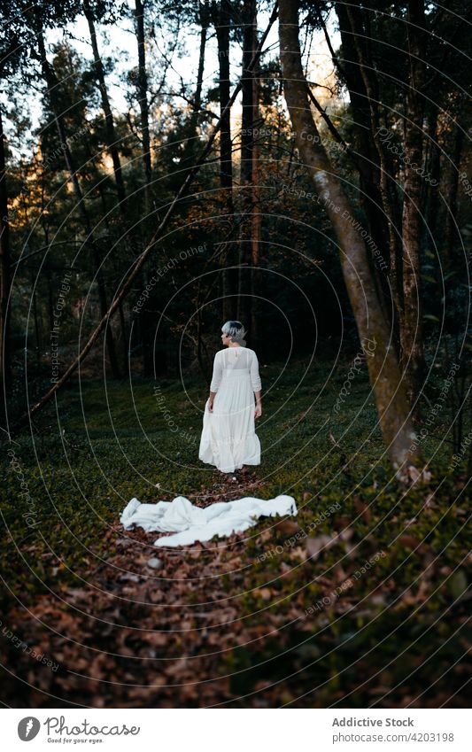 Unrecognizable woman in dress standing in park white dress rural tree nature countryside path stroll female evening environment forest sunset lady serene