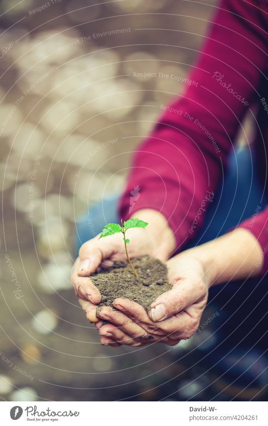 Growth - Earth with plant in hands Nature stop wax offshoot Development Love of nature Plant Garden Sustainability Environment