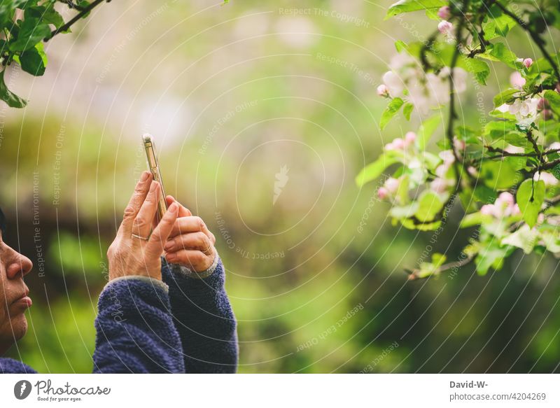 Woman takes a picture of a flower with her mobile phone Cellphone Take a photo social media Flower instagram Spring Position Lifestyle Mobility smartphone hands