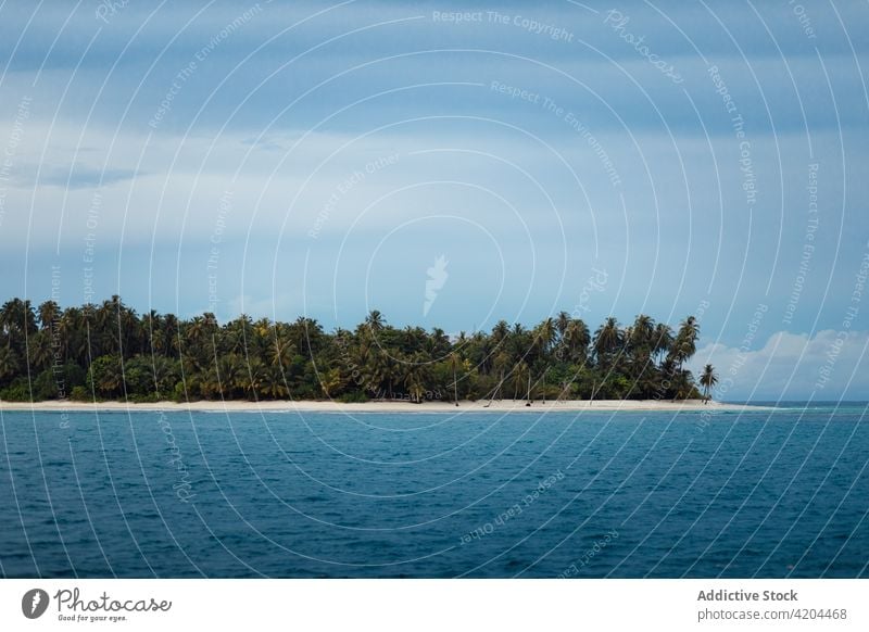 Tropical island with palm trees exotic uninhabited dream sunny coastline idyllic plant blue sky indonesia seascape relax shore turquoise holiday landscape beach